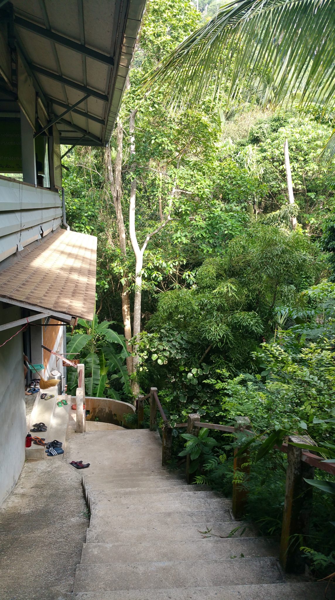 The steep pathway from the men's dormitory up to the meditation hall. Much easier to see in the light of day.