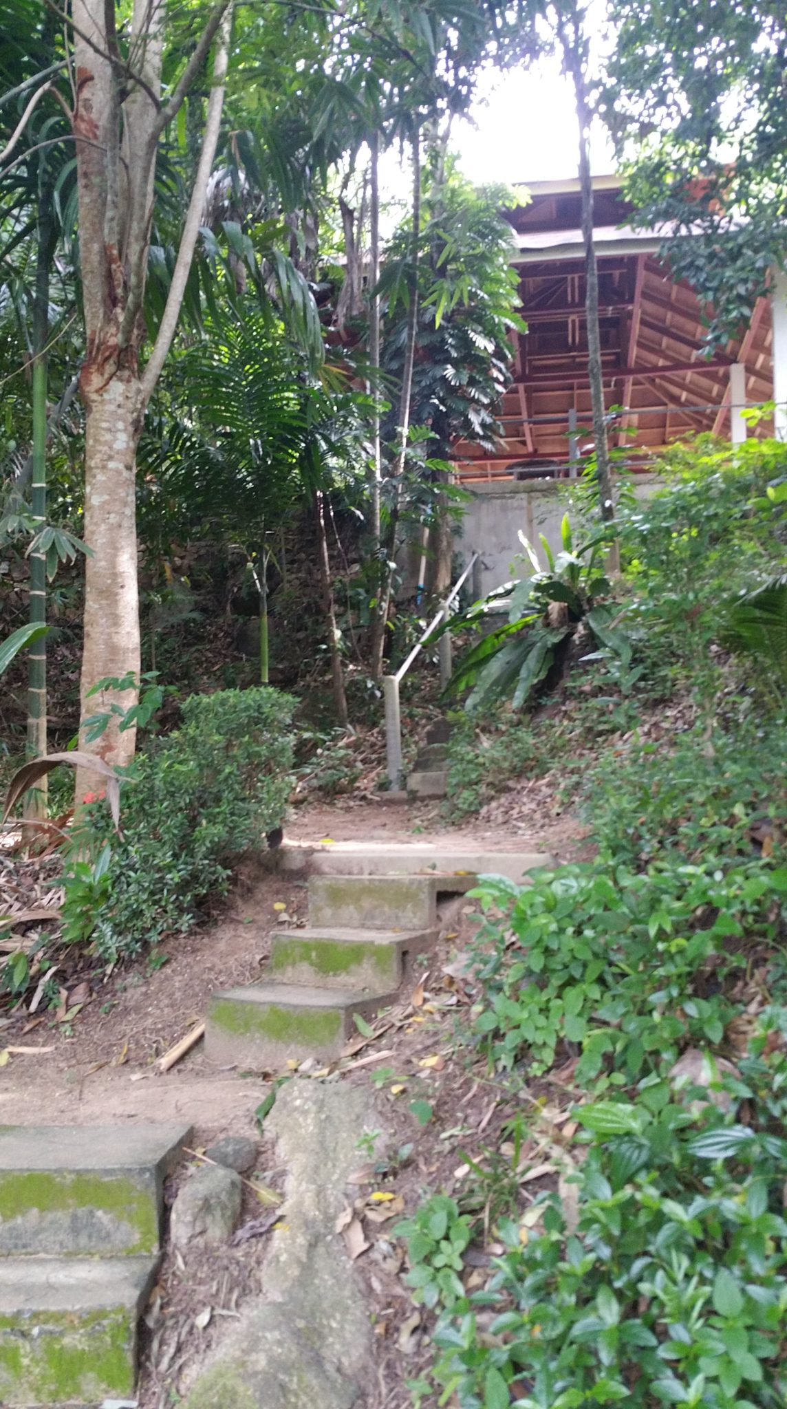 Stairs up to one of the outdoor 'salas' that can be used for meditation during free-time.